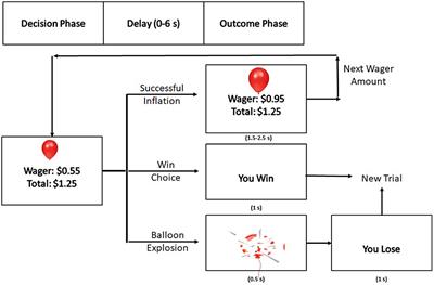 Does Chronic Cannabis Use Impact Risky Decision-Making: An Examination of fMRI Activation and Effective Connectivity?